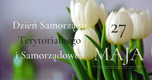 białe tulipany - 27 maja - Dzień Samorządu Terytorialnego i Samorządowca