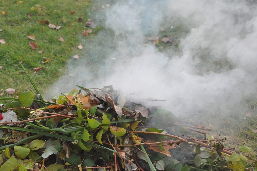 Zakaz spalania odpadów roślinnych z działek i ogrodów