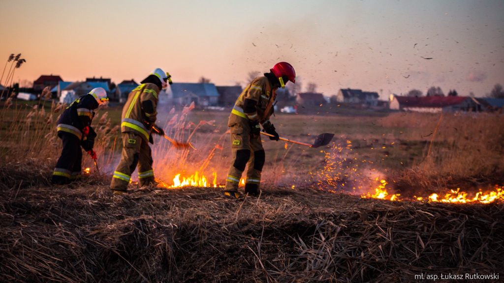 strażacy gaszący palące się trawy