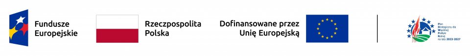 Baner z logo przedstawiającym tekst „Fundusze Europejskie”, polską flagę, informację o dofinansowaniu UE oraz symbole planowania projektu.