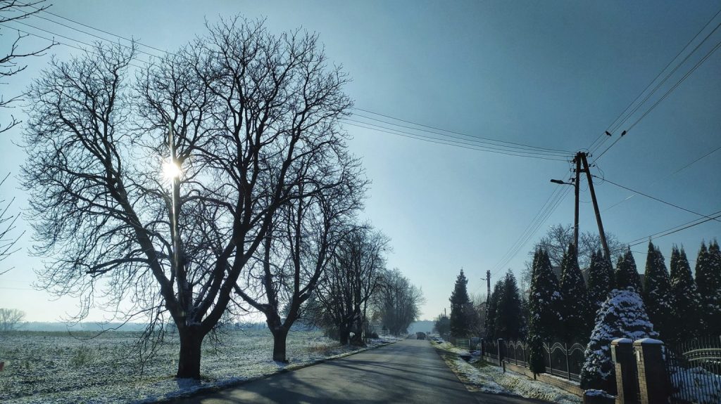 Droga wiejska w zimowym krajobrazie, biegnąca wzdłuż ogrodzonych posesji i pól pokrytych cienką warstwą śniegu. Po lewej stronie stoją bezlistne drzewa, przez których gałęzie prześwieca nisko położone słońce. Po prawej stronie widoczny jest rząd przyciętych iglaków, ogrodzenie oraz słupy energetyczne z liniami przewodów. Niebo jest bezchmurne i jasnoniebieskie.